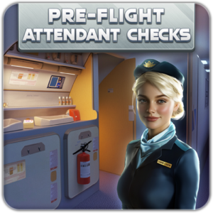 Pre-Flight Safety Demonstration Logo