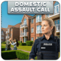 Domestic Assault Call